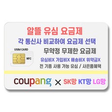 SK KT LG 알뜰유심요금제 통신사선택 요금제선택 전기종가능유심 USIM NFC 유심칩 무약정 유심카드 본폰요금줄이기 부모님꺼 자녀꺼 자급제 세컨폰 업무폰 유심요금제, 신규개통(새로운번호를부여받음)