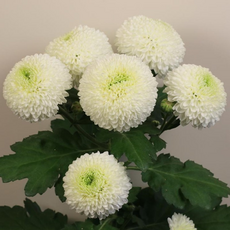 59c8b9aff87015f48aa33529144911be9fce1893176df3c7c02d47fbffc2.png