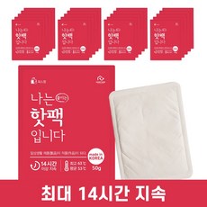 홈트너 대용량 일회용 손난로 붙이는 핫팩, 부착형 핫팩 50g 20개