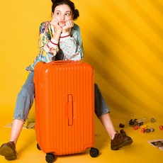 17인치캐리어투명커버