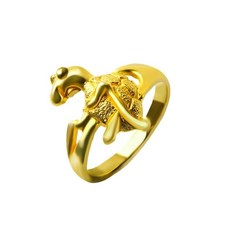 순금거북이반지