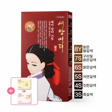 새앙머리 다빛 헤어 컬러크림 (허브염모제) 1개, 5S자연갈색