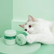 모몽