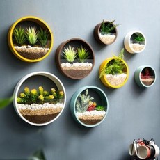 원형 벽걸이 화분 벽면녹화 아이디어룸 침실 에뮬레이트 장식 배경벽에 밀크티 숍 교실, 09 15cm 블루 원형 벽걸이 콤비