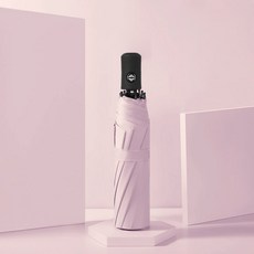 자동우양산
