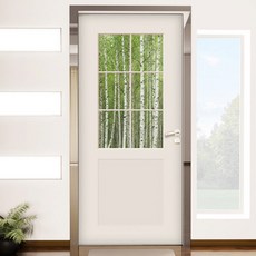 ch819-창문그림(싱그러운자작나무숲)