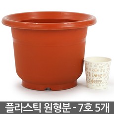 둥근베란다인테리어