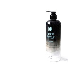 리엔 물들임 새치커버 샴푸 자연갈색, 550ml, 1개
