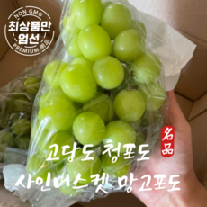 고당도 샤인머스켓 망고포도 청포도 한정특가, 가정용 샤인머스켓 2kg(3~5수)