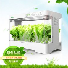 스마트 한 홈 실내 야채 심기 흙 없이 새싹 재배, 1개