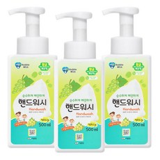 버블윅 청포도향 손세정제 핸드워시 용기 500ml x 3개