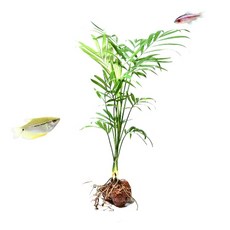 일산한화아쿠아리움