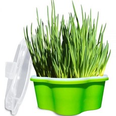 추천10 모종파는곳