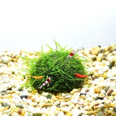 코엑스아쿠아리움최저가