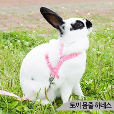 토끼몸줄 (블루/핑크) 가슴줄 하네스 리드줄포함, 핑크, 1개
