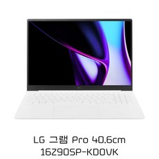2024년 LG 그램 Pro 40.6cm 16Z90SP-KDOVK