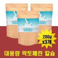 비만운동인슐린