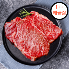 투쁠 한우 구이용 1++ 등급 한우 냉장 소고기 채끝살 최고급 [정다운한우], 1개, 400g