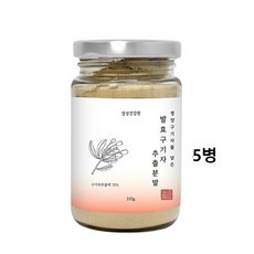 유산균발효구기자