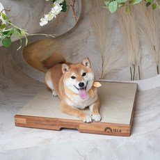 IGLU 강아지 원목 타일 쿨매트, 고무나무, 앤티크 오닉스 비앙코, 1개