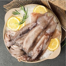 채낚기오징어