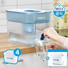 브리타마렐라정수기