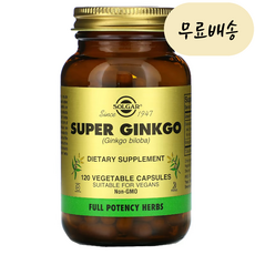 이롭가게 솔가 징코 빌로바 리프 익스트렉트 추출물 120식물성캡슐 Solgar Ginkgo Biloba, 1개, 120정, 120개