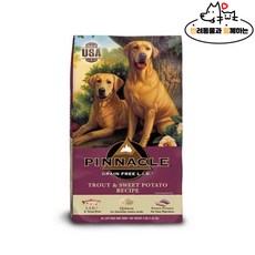 애견과함께하는페라글라이딩