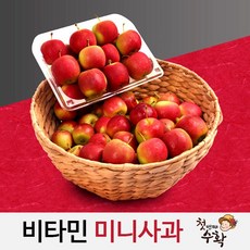 첫번째수확 알프스오토메 영천 미니사과, 1개, 상품 2kg