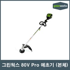 그린웍스 Pro 80V 예초기 (본체), 2배터리+충전기