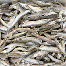 캐나다 수컷 파지 열빙어 담백 살 가득, 1개, 5kg