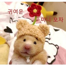우시 슈가글라이더옷 토끼 햄스터 액세서리 기니피그, 1개, 우유 개 S 3cm