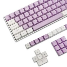 키캡 키보드 keycaps 184 pbt 더블 샷 퍼플 화이트 xvx 트 gk61 2