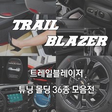 트레일블레이저바디사이드몰딩