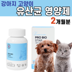 락토벳