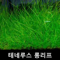 29c69e55c887e617259b0f9519aedc50857db0f40ae1bfb3af794932d6bc.png
