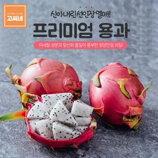 돌후룻컵람부탄