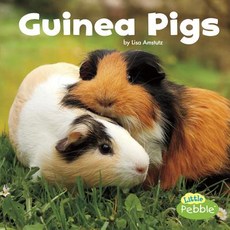 Guinea Pigs Hardcover, Capstone Press