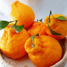 cdb3d1f8e07780f25be550c551d61b11f229396877012563102f2c1aaf6a.png