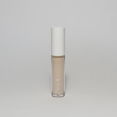 [올해의 ITEM] *파넬* Parnell 시카마누 스킨핏 커버 컨실러 5g 2종 택1 SKIN FIT COVER, 2개, 21호