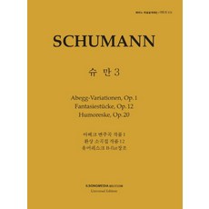 일송미디어슈만