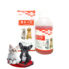 클로시딘 250ml 독 캣 강아지 고양이 소독약 반려동물소독약 약국정품, 1개 - 클로시딘