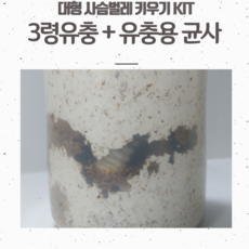 7d3d270dc781a06c3380382f2ca4985a41a4b8a8503c1f3a346da1c3d64b.png