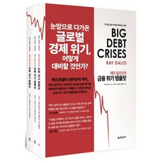 레이 달리오의 금융 위기 템플릿 (마스크제공), 단품, 단품