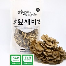 건조잎새버섯 200g면역력 항암에 좋은 음식 차 (GAP 무농약 인증) 양양특산물, 1, 300g