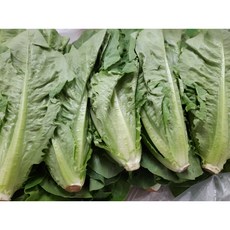 [특급] 싱싱한 통로메인 2kg(1.8~2kg)박스 - 수도권 충청지역 팀프레시 새벽배송, 1박스