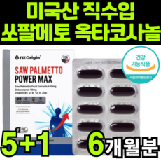 현토군