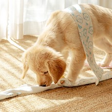 래핑찰리토일렛페이퍼