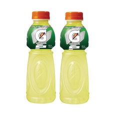 순성왕매실600ml