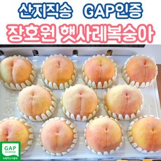산지직송 장호원 햇사레 복숭아 3kg 황도 백도 가정용 선물용 GAP인증, 1개